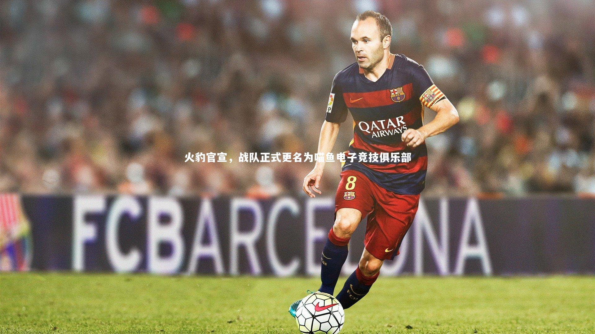 火豹官宣,战队正式更名为喵鱼电子竞技俱乐部